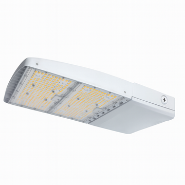 LED VFXL Selectable Flood Light
