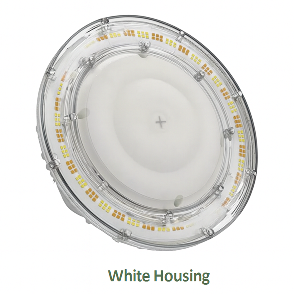LED 1 CLR 40-75UNV WS CS